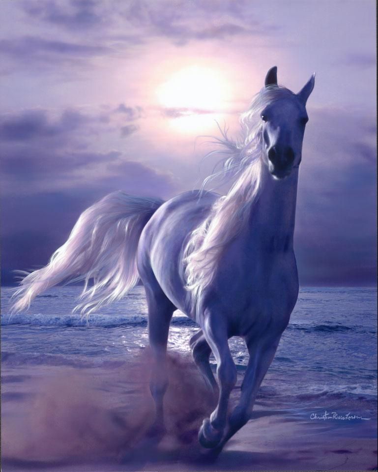 ARABIAN NIGHTS | クリスチャン・ラッセン | 版画 | 日本正規販売代理