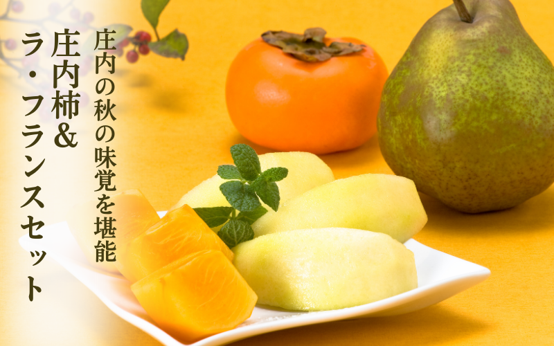 カトラン〔柿のある静物〕額外面 62㎝×81㎝ カトラン〔柿のある静物