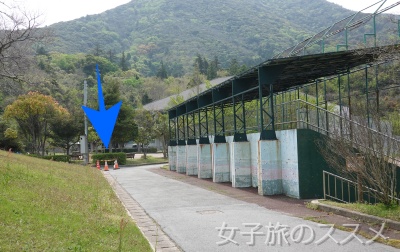 マンホールカード25弾 島根県隠岐郡西ノ島町のイカマンホール ｜ 女子