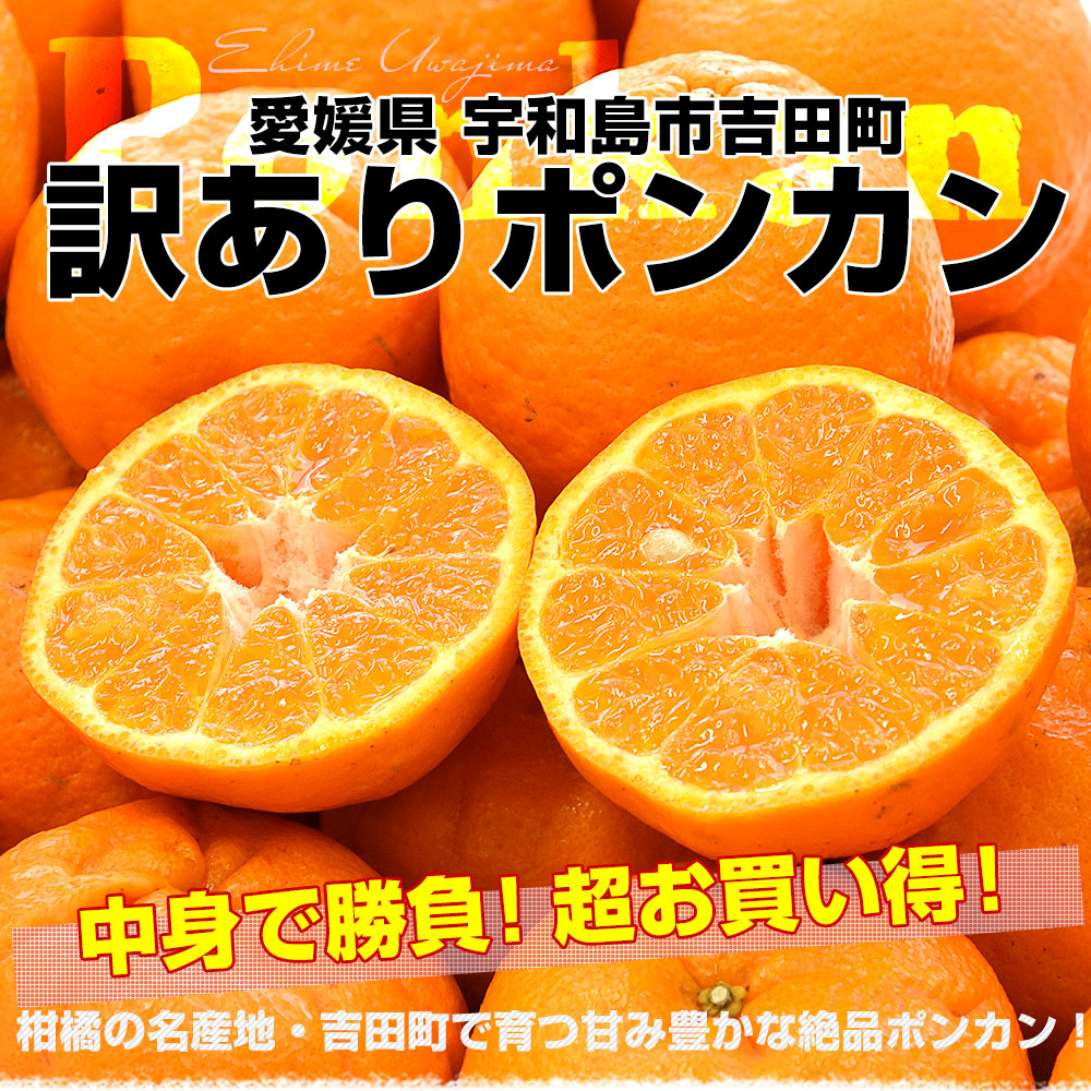愛媛県 宇和島市吉田町 訳ありポンカン 3Lから2Lサイズ 約10キロ (40玉