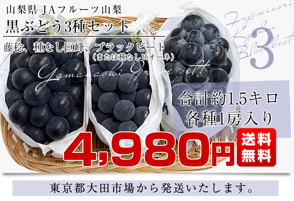 山梨県産 JAフルーツ山梨 黒ぶどう3種セット 約1.4キロ (ブラック