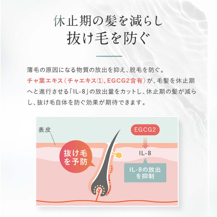 ヘア エッセンス - スカルプ エッセンス ROOT BEAUTÉ 育毛 エッセンス