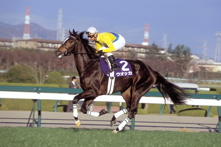 ウオッカ｜3分でわかった気になる名馬 JRA