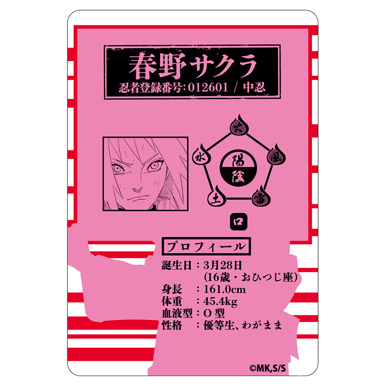 NARUTO-ナルト-』ステータスカードコレクション （全15種／ランダム1種