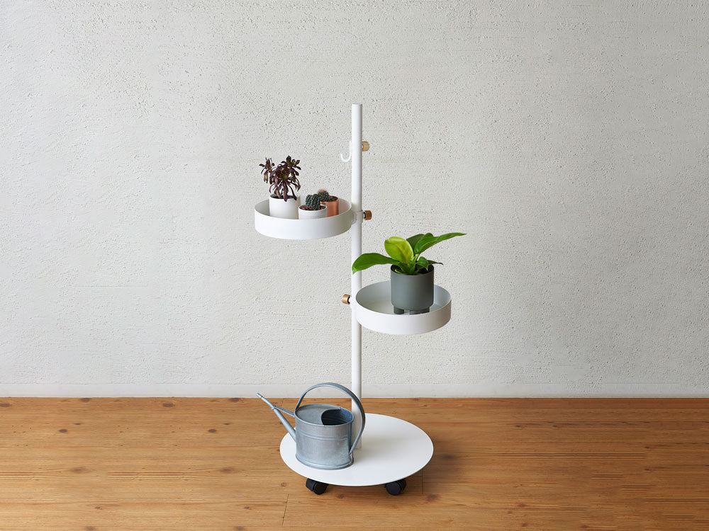 DRAW A LINE/ドローアライン＞うごくプランターラックSet – カチモ