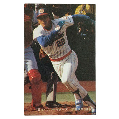 参考価格】カルビー プロ野球カード ホームランカード 1973年 堀内恒夫