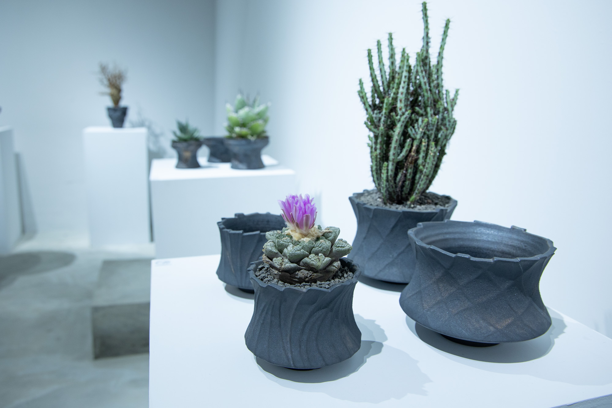 起點現場/ 走進羅本製所的「植體獸化」 - KEEDAN.COM