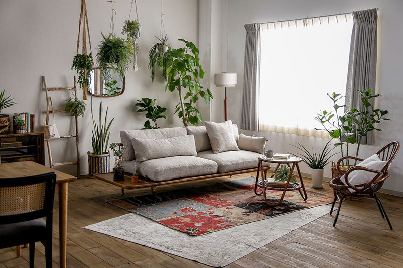 インテリアグリーン】に囲まれた夏らしい部屋のつくり方 | 暮らしと