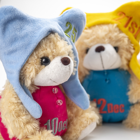 MUSICBOX】ベアーズ365オルゴール ベージュ12月 | オルゴール | 黒壁