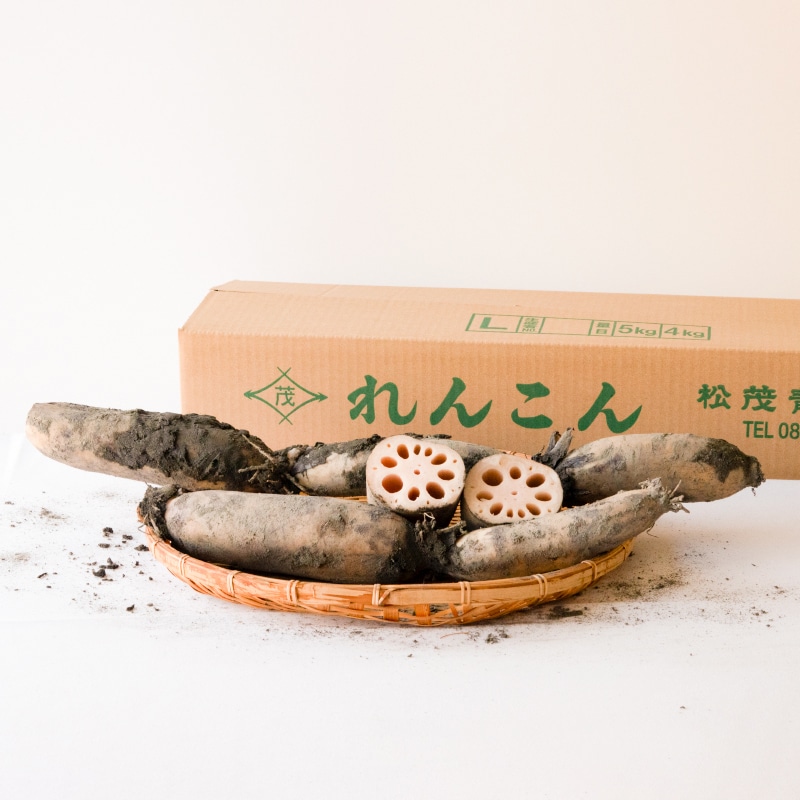 土付きレンコン（2kg） | Lacycle mall（ラシクルモール）