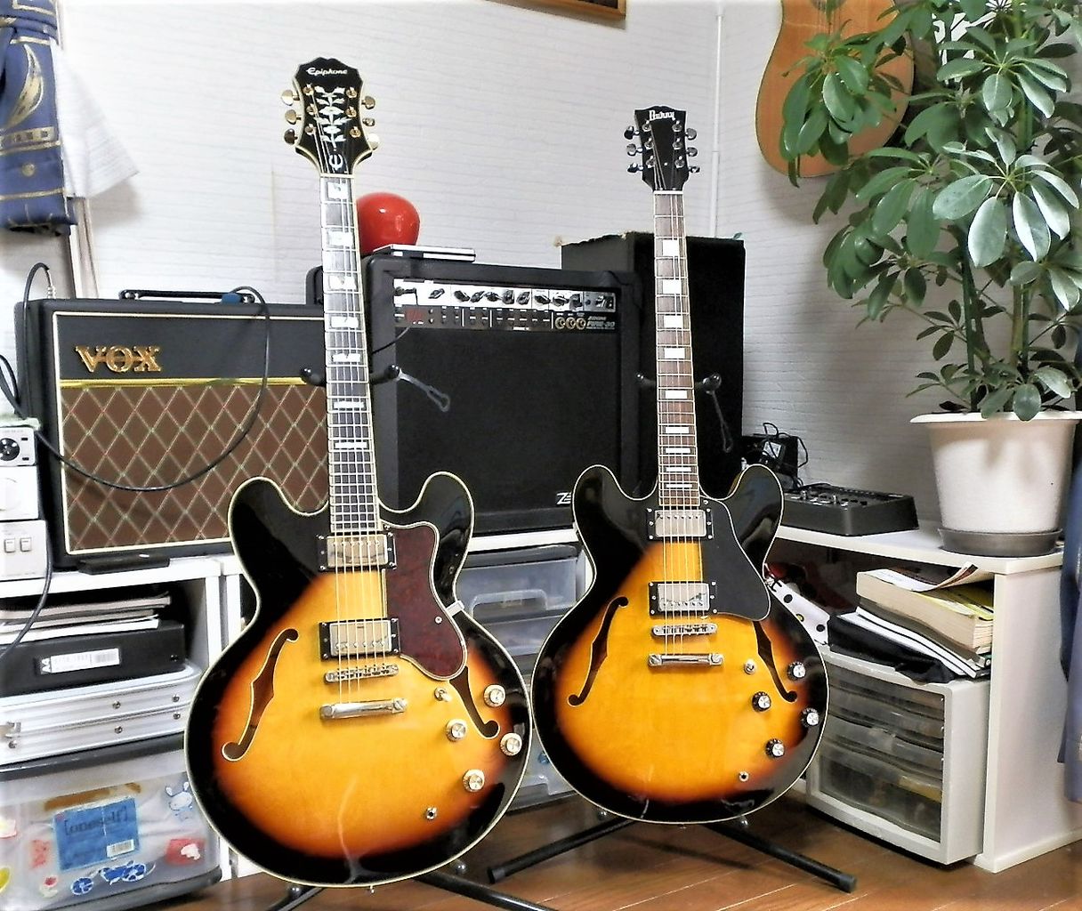 Burny SRSA-65 ES-335モデル到着！！ : 湖畔工房のブログ