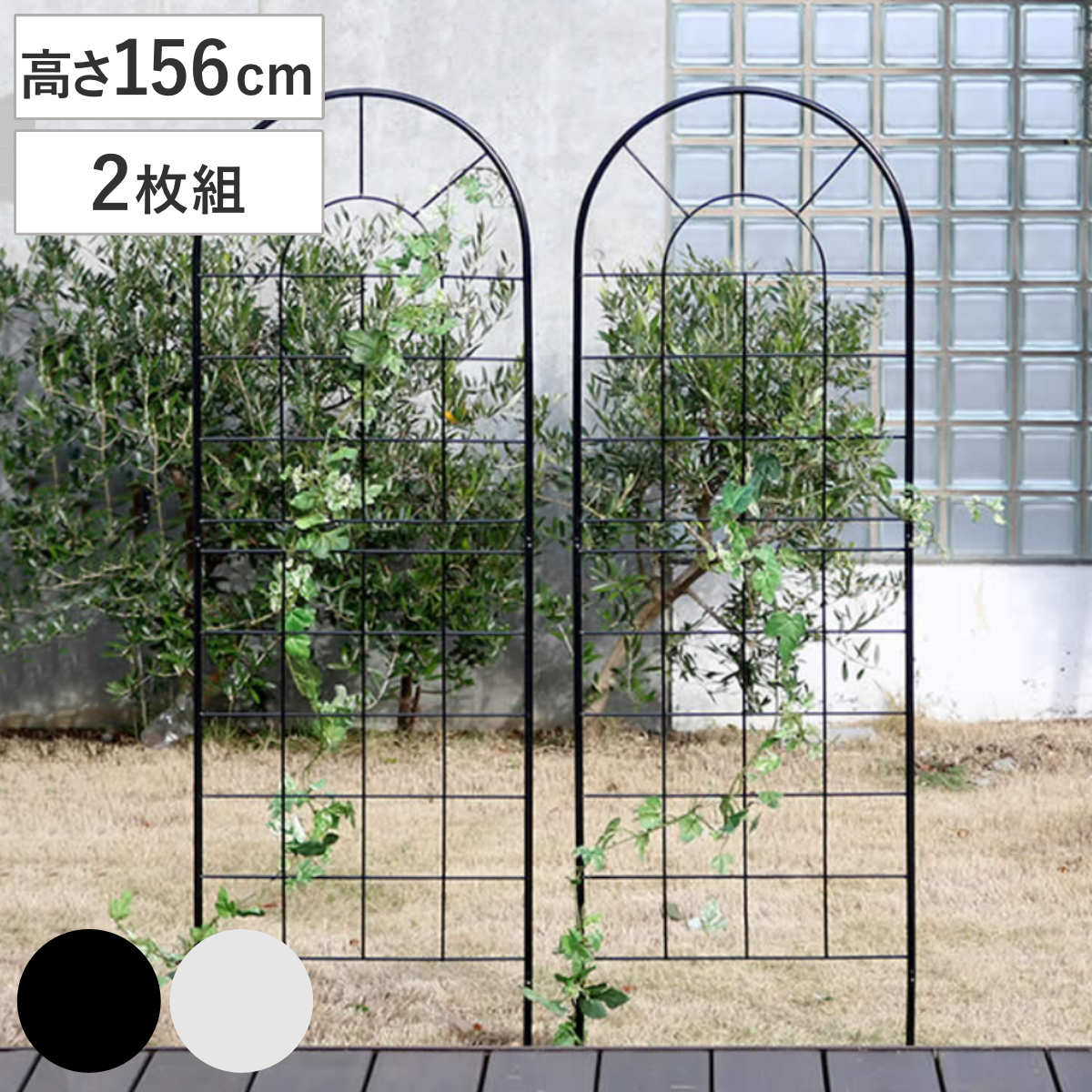 フェンス クラシックフェンス ロータイプ 高さ156cm 4枚組 （ ガーデン