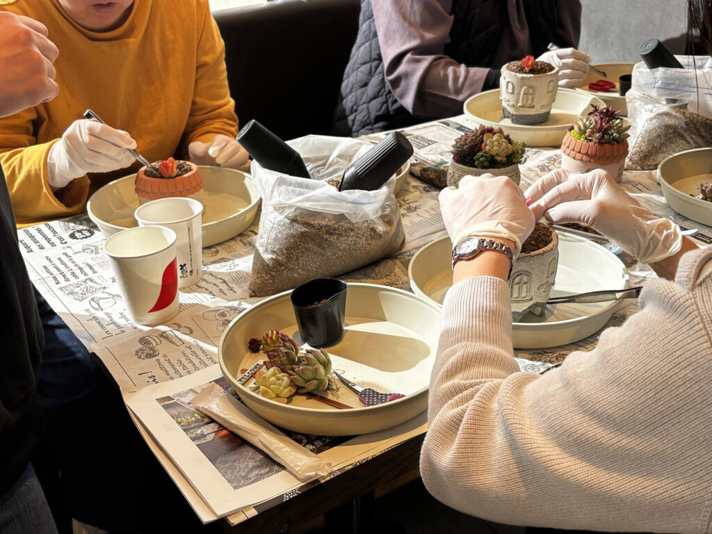 コトのしおり】2025.1.18育てやすい＆かわいい多肉植物寄せ植え体験