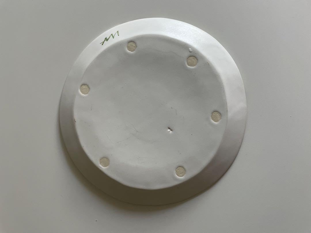 安藤政信 ミナペルホネン プレート Amazon.co.jp: ミナペルホネン×安藤