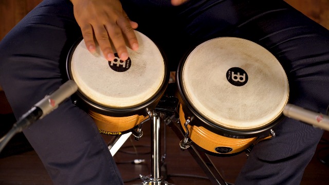 Amazon.com: Meinl 6.75-inch + 8-inch Freeride wood Series Bongo