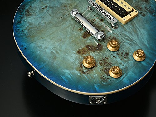 Bacchus Les Paul TakMatsumoto TakBurst風 Bacchus Les Paul