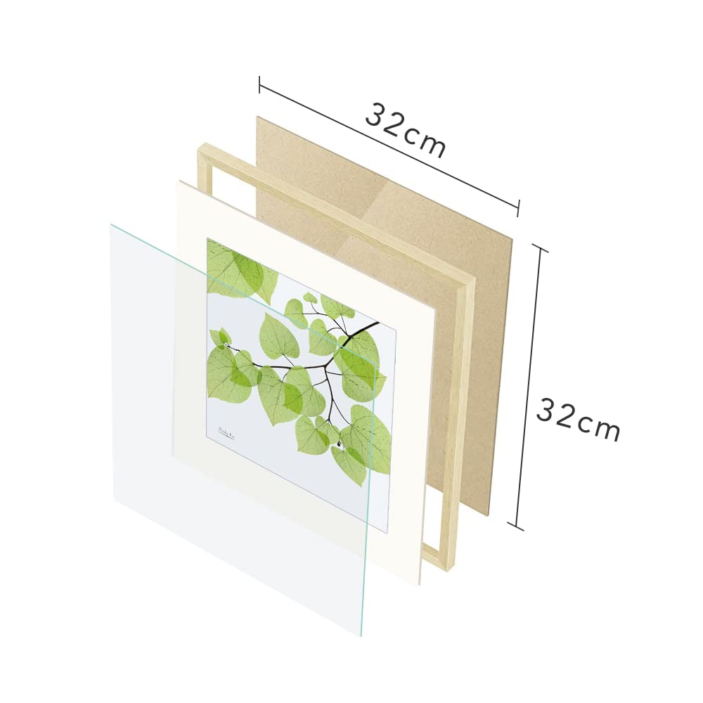 Amazon.co.jp: 絵画「葉のひろがり」インテリア 絵 花 アートパネル 額