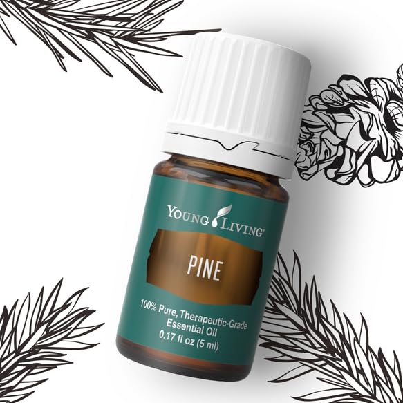 Amazon.com: Young Living Pine Essential Oil, 5ml – Refreshing