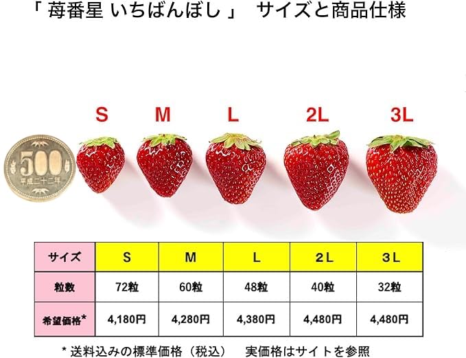 Amazon.co.jp: 【特選 糖度12度の別世界 いちご】常識を超えた甘さ