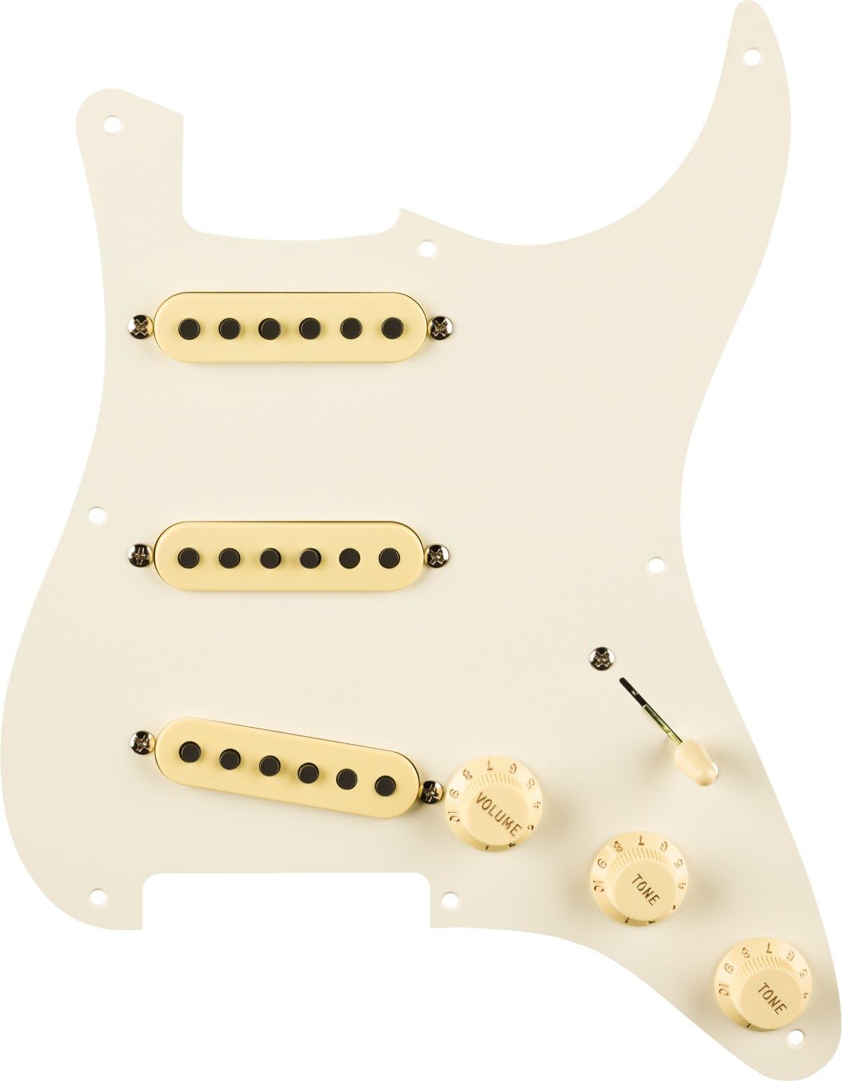 Amazon.com: Pre-Wired Strat® Pickguard, Eric Johnson Signature