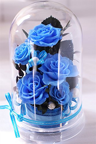 Amazon｜ホワイトデー バレンタインお返し 青い花 就職祝い 誕生日