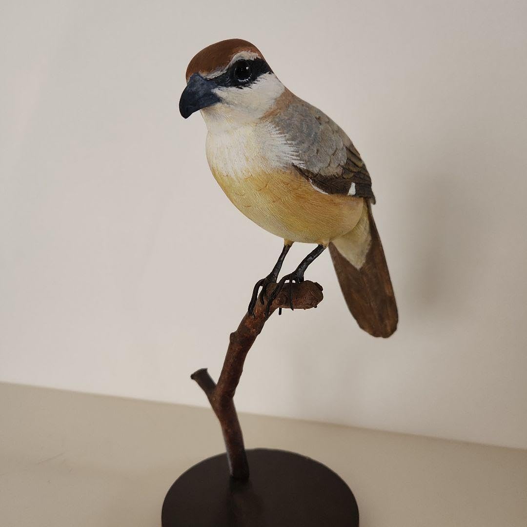 猛禽類の彫刻シロハヤブサ バードカービング木彫りの野鳥野鳥彫刻