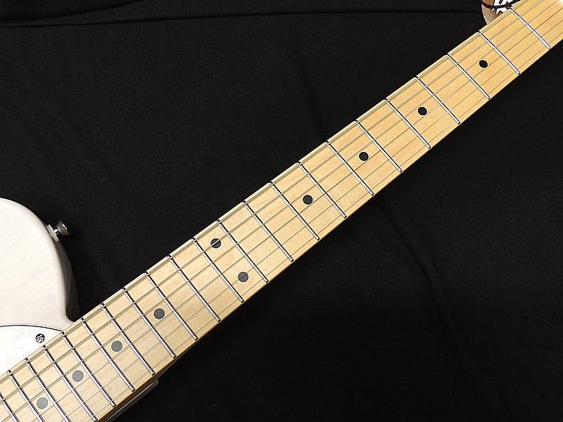 Amazon | FGN FUJIGEN NTE100MAHT WB フジゲン Neo Classic SERIES