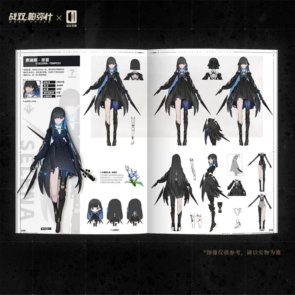 Amazon.co.jp: 「パニシング：グレイレイヴン 公式アートワークス VOL