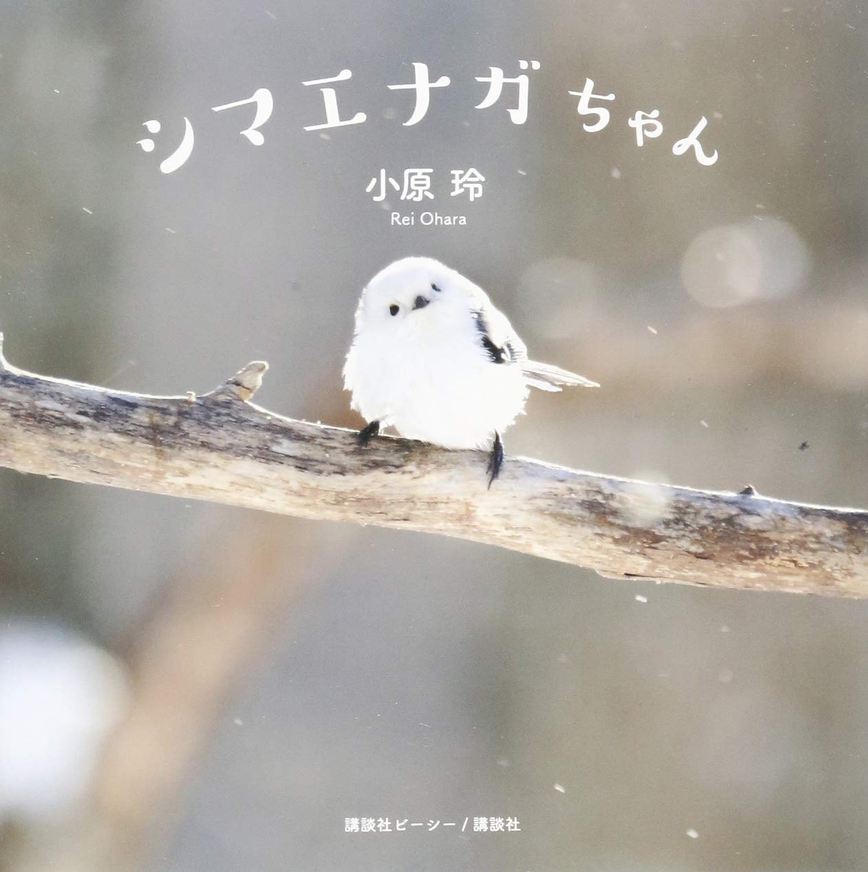 シマエナガちゃん | 小原 玲 |本 | 通販 | Amazon