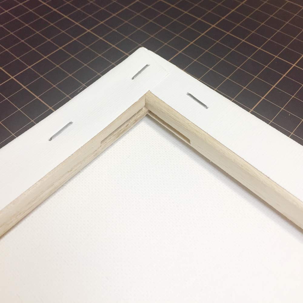 Amazon.co.jp: 【JPart&craft】キャンバス F30号 91x72.7cm 2枚 包み