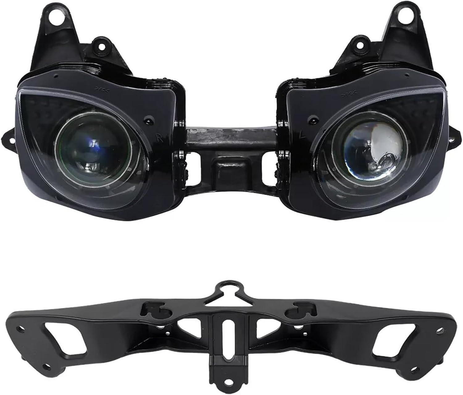 紫陽花に金魚】尾竹竹坡 2725 共箱 掛け軸 肉筆 アジサイ 紫陽花