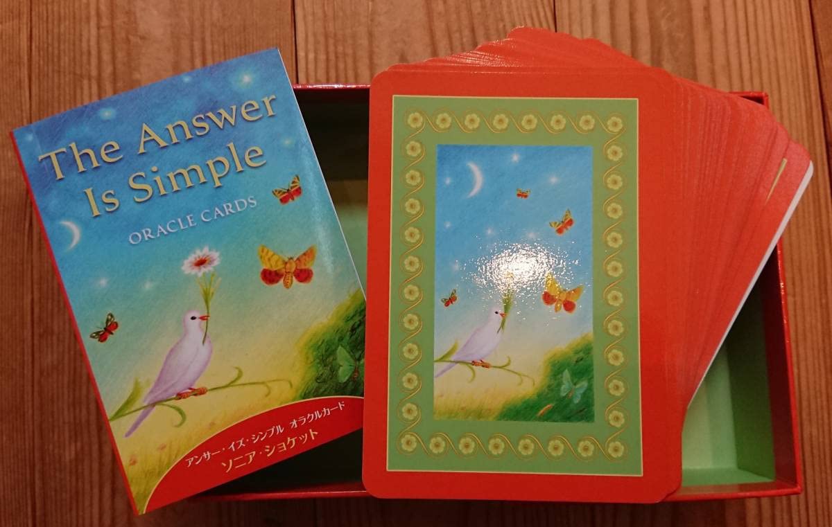 Amazon.co.jp: 絶版希少「The Answer Is Simple」ソニアショケット
