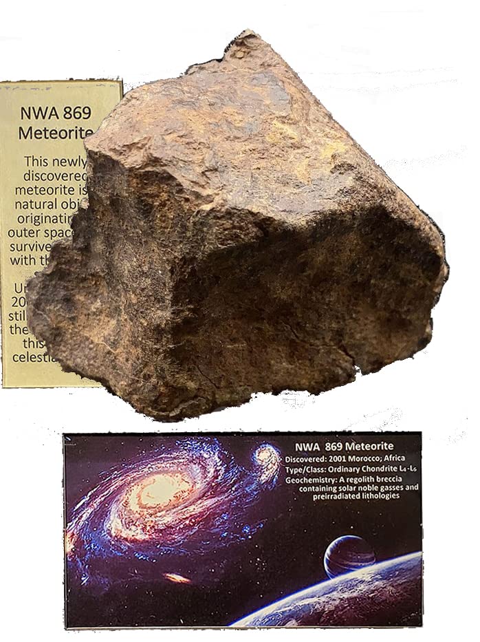 Amazon | SCIENCE 実物隕石標本「石質隕石 NWA869（North West Africa