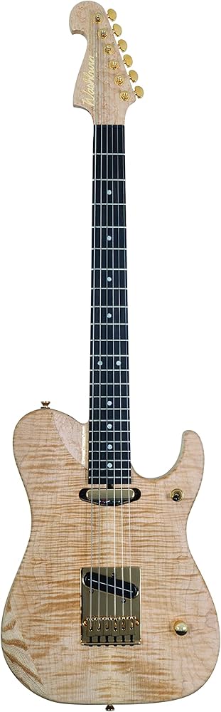 Amazon | ワッシュバーン USAカスタムショップ 6弦ソリッドボディ