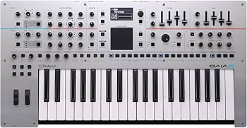 Amazon.co.jp: Roland GAIA2 : 楽器・音響機器