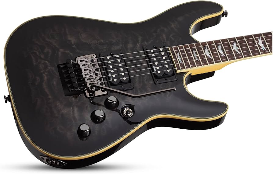 Amazon.com: Schecter Guitar Research Omen Extreme-6 FR Electric