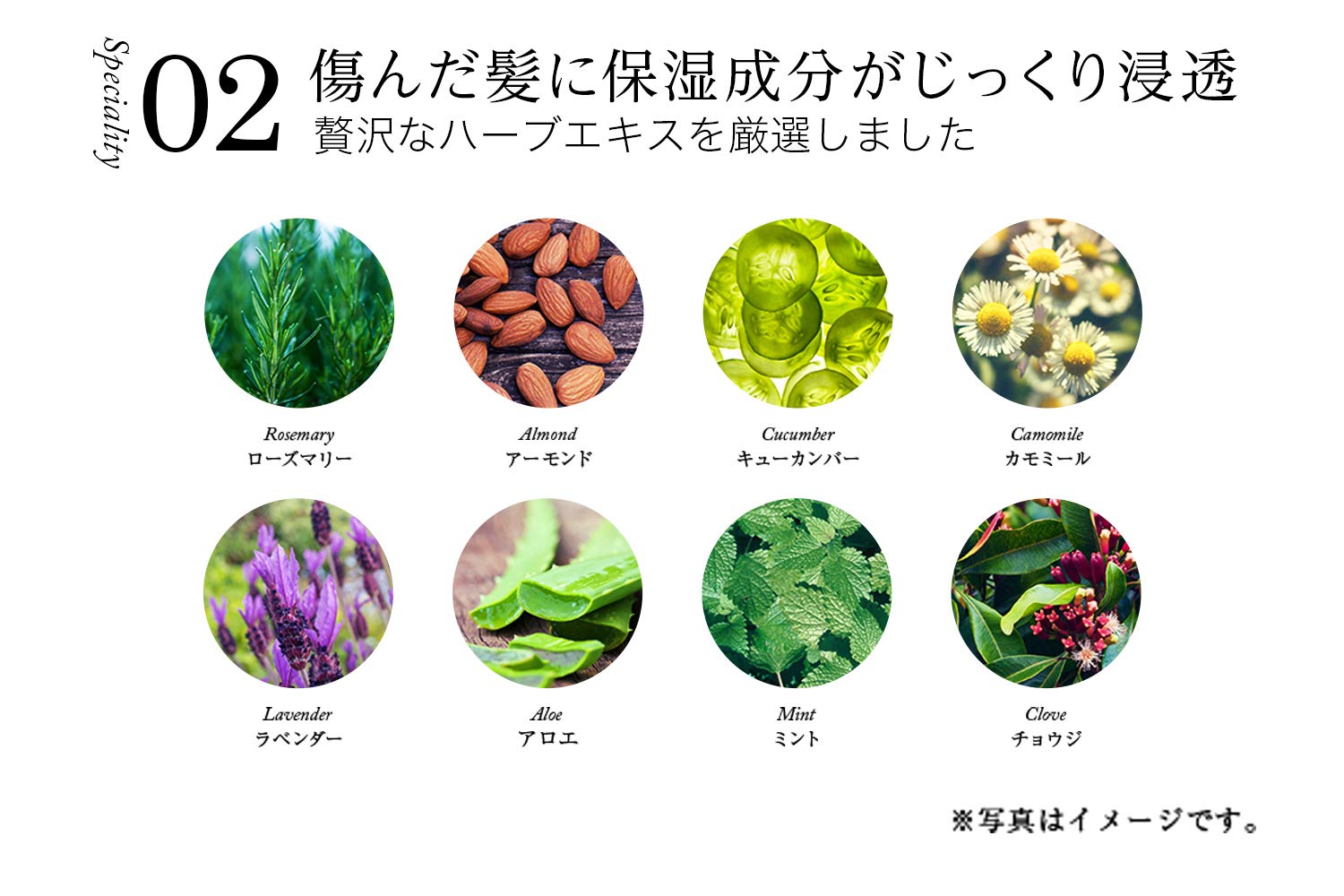 Amazon | WEN ウェン クレンジングコンディショナー ラベンダー 480mL