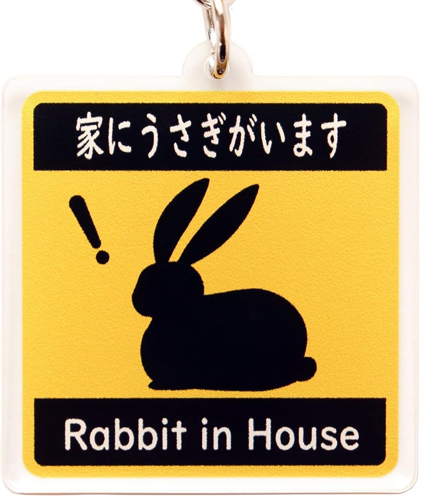 Amazon.co.jp: [SunAge] キーホルダー 家にうさぎがいます Rabbit in