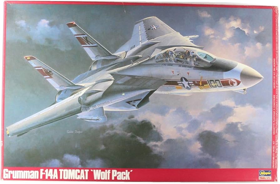 Amazon | ハセガワ 1/48 F-14A トムキャット ウルフパック #P20