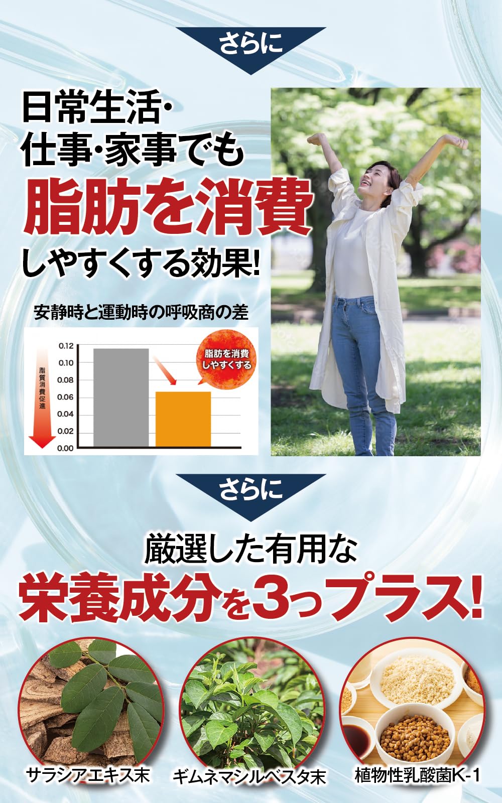 Amazon | モヤセル 30粒30日 BMI が高めの方の腹部の 脂肪 を減らす