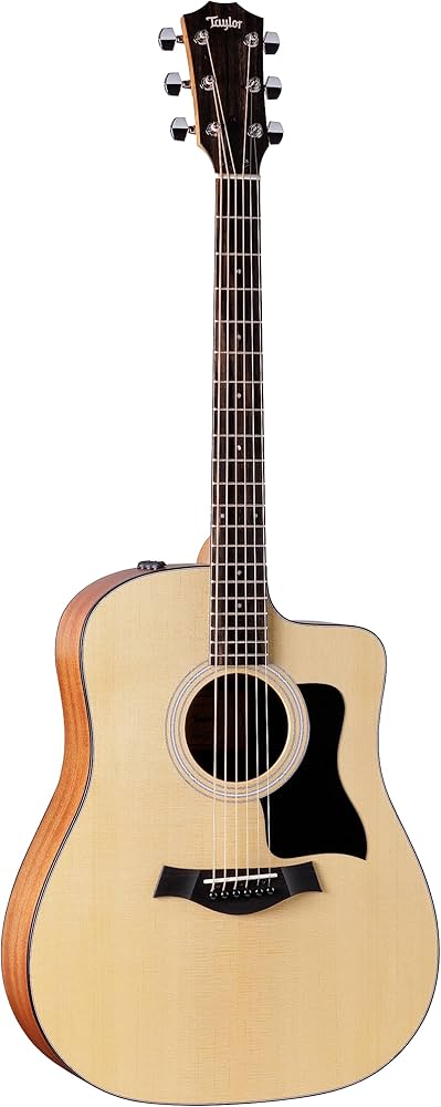 Amazon.com: Taylor 110ce-S Dreadnought Sitka/Sapele Natural w/Gig