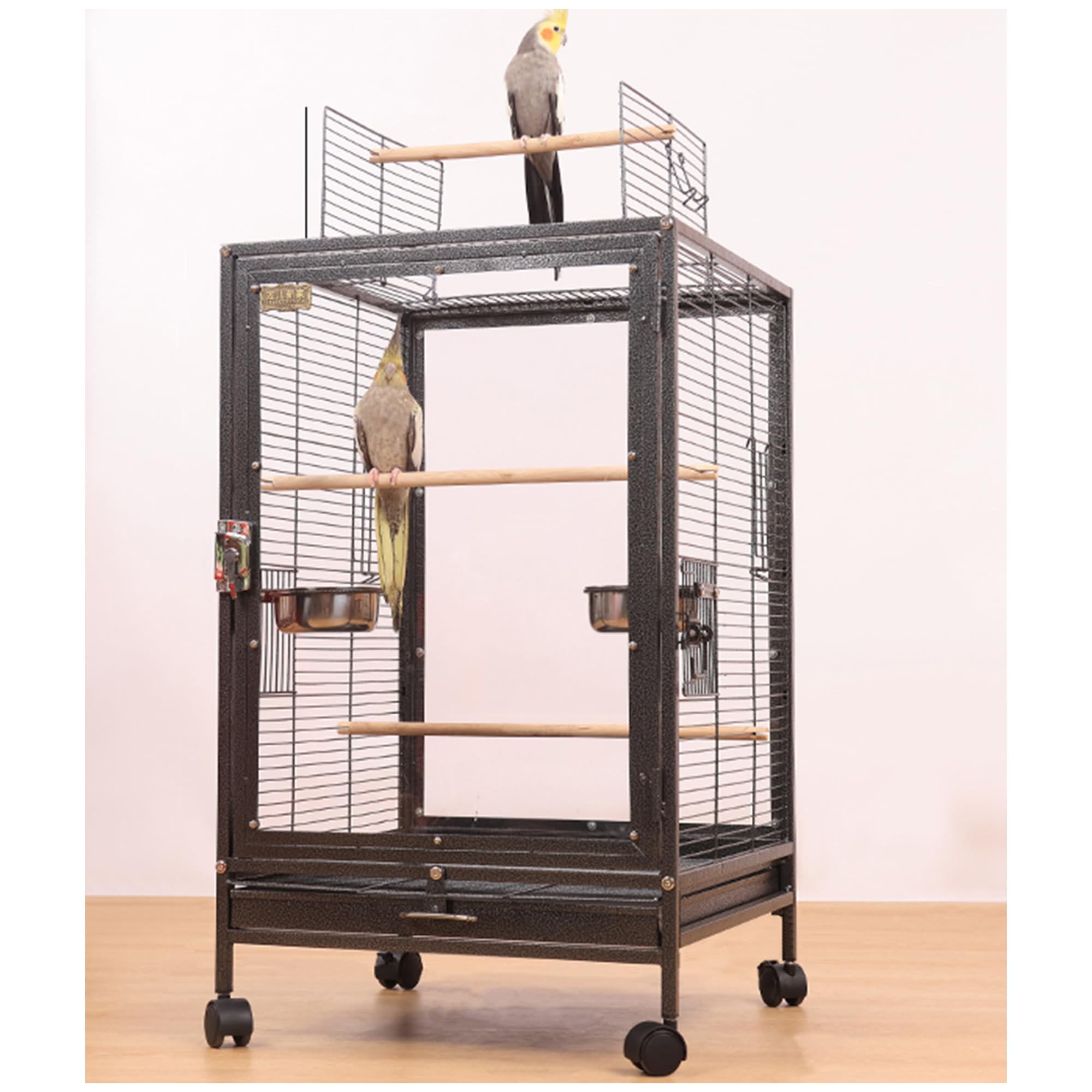 Amazon | FX-SHYQYYMZ クリアアクリル鳥かご 複数飼い大型インコ