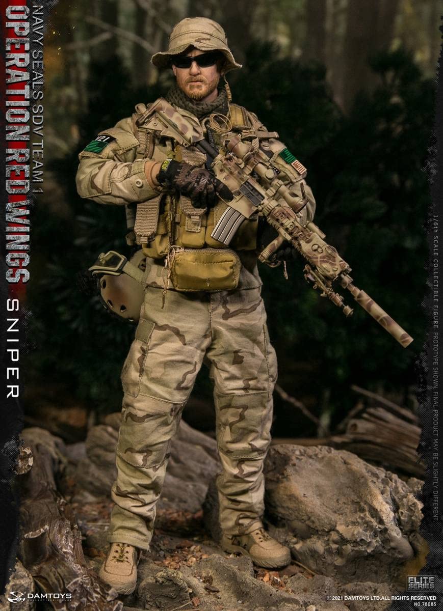 Amazon | DAMTOYS 1/6 米海軍特殊部隊 ネイビーシールズ SDVチーム1