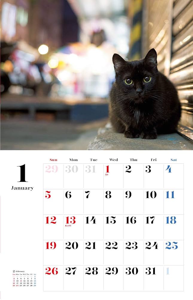 Amazon.co.jp: 黒猫カレンダー 壁掛け(2020) : 沖 昌之: 文房具