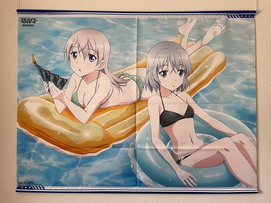 Amazon.co.jp: タペストリーストライクウィッチーズ エイラサーニャ B1