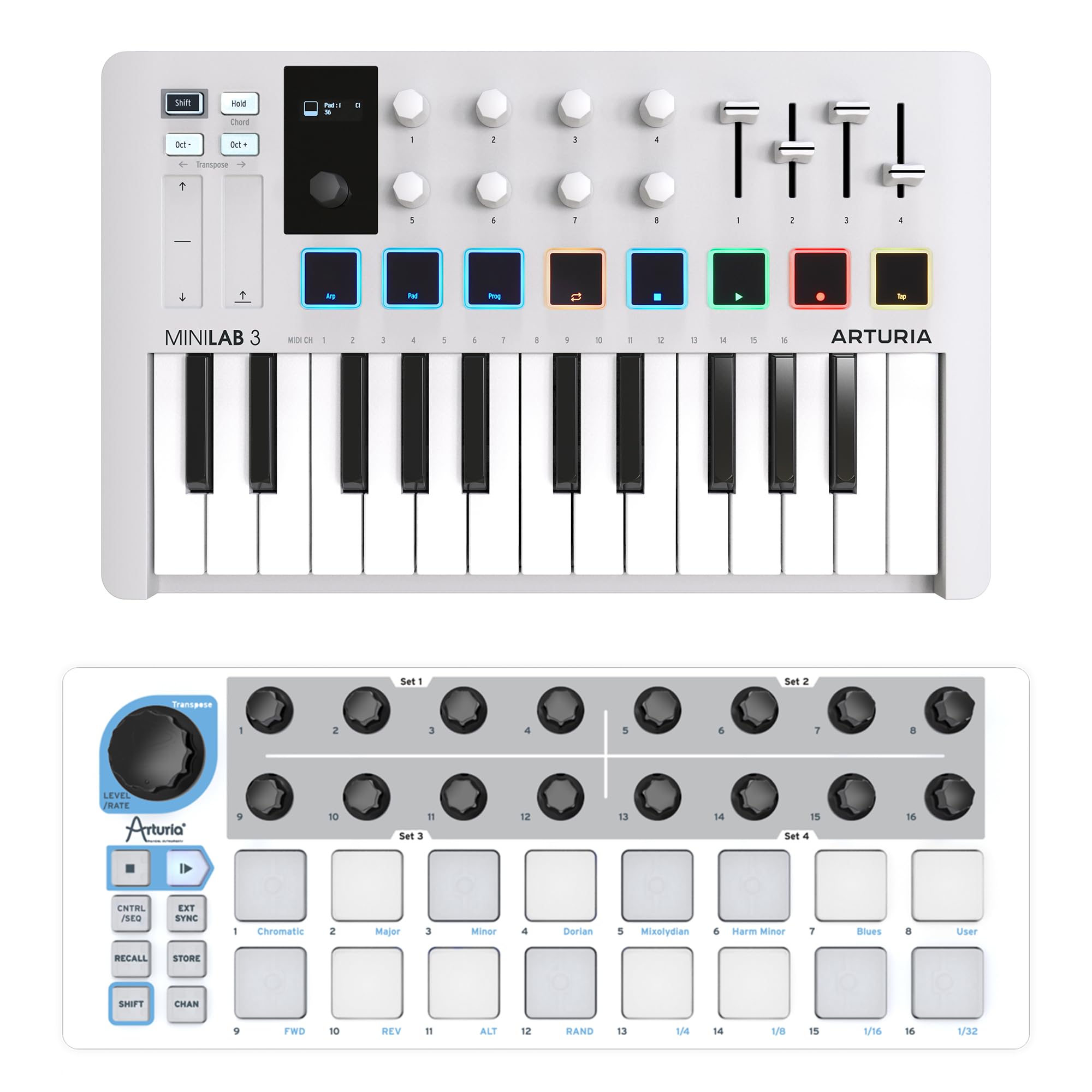 Amazon.com: Arturia MiniLab 3 MIDI Controller & Beatstep Compact