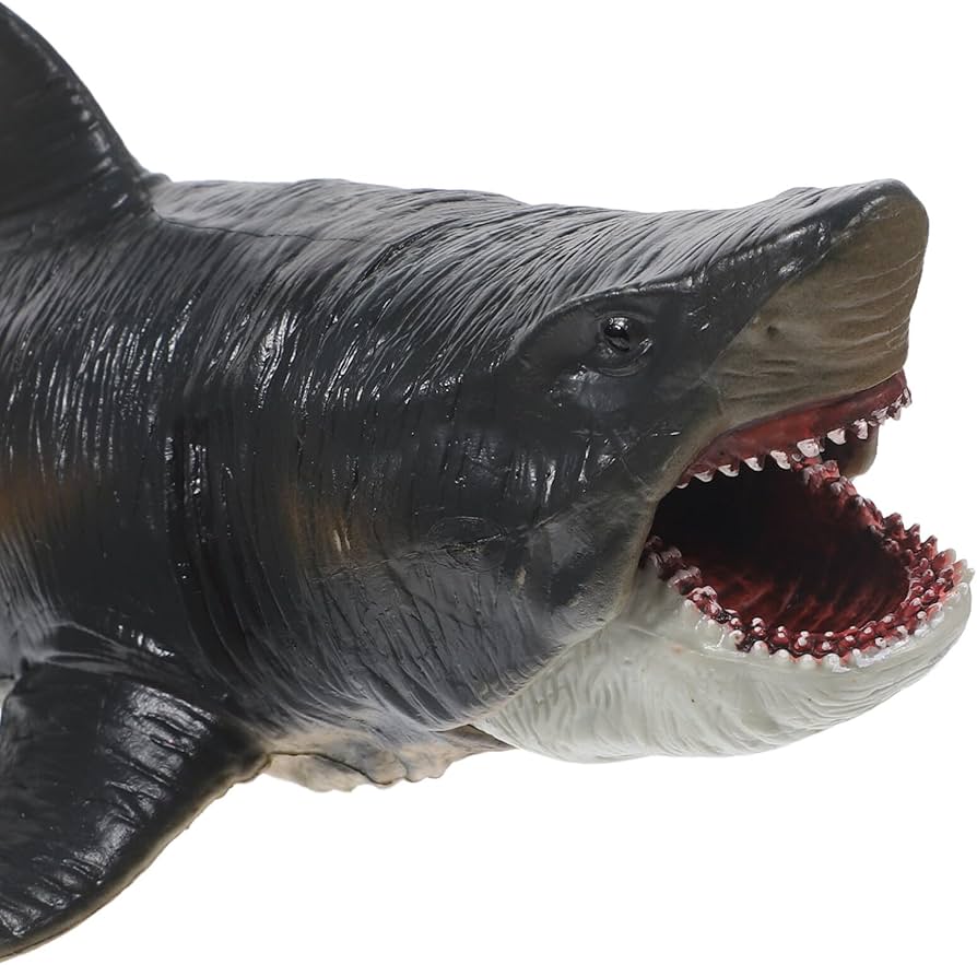 Amazon.co.jp: HOMSFOU サメ おもちゃ リアル サメ 置物