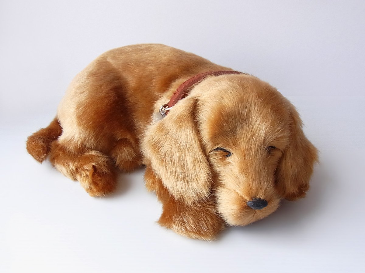 Amazon.co.jp: ニニアンドキノ パーフェクトペット (小サイズ