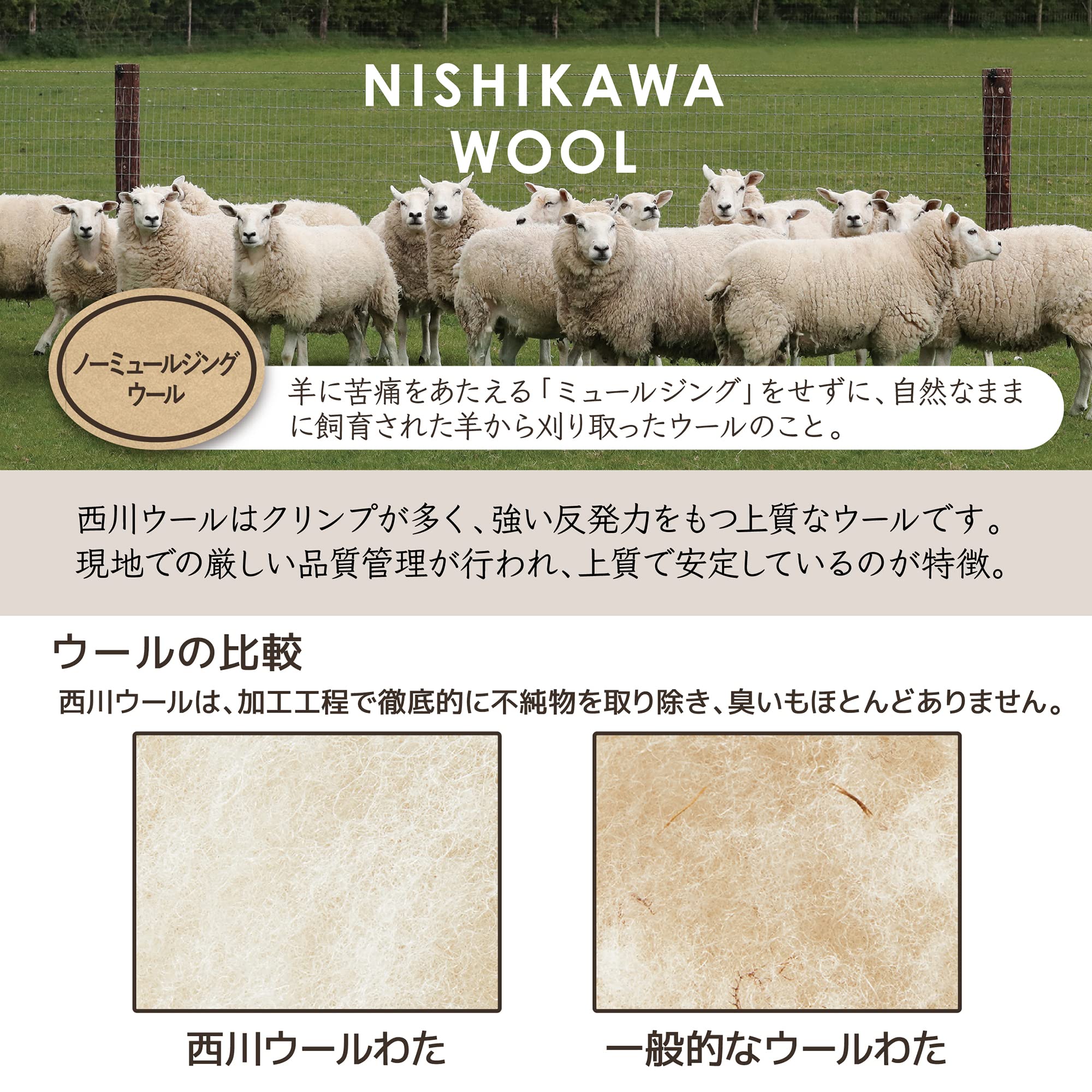 Amazon｜nishikawa【西川】 クラシノ 敷布団 シングル 畳みやすくて