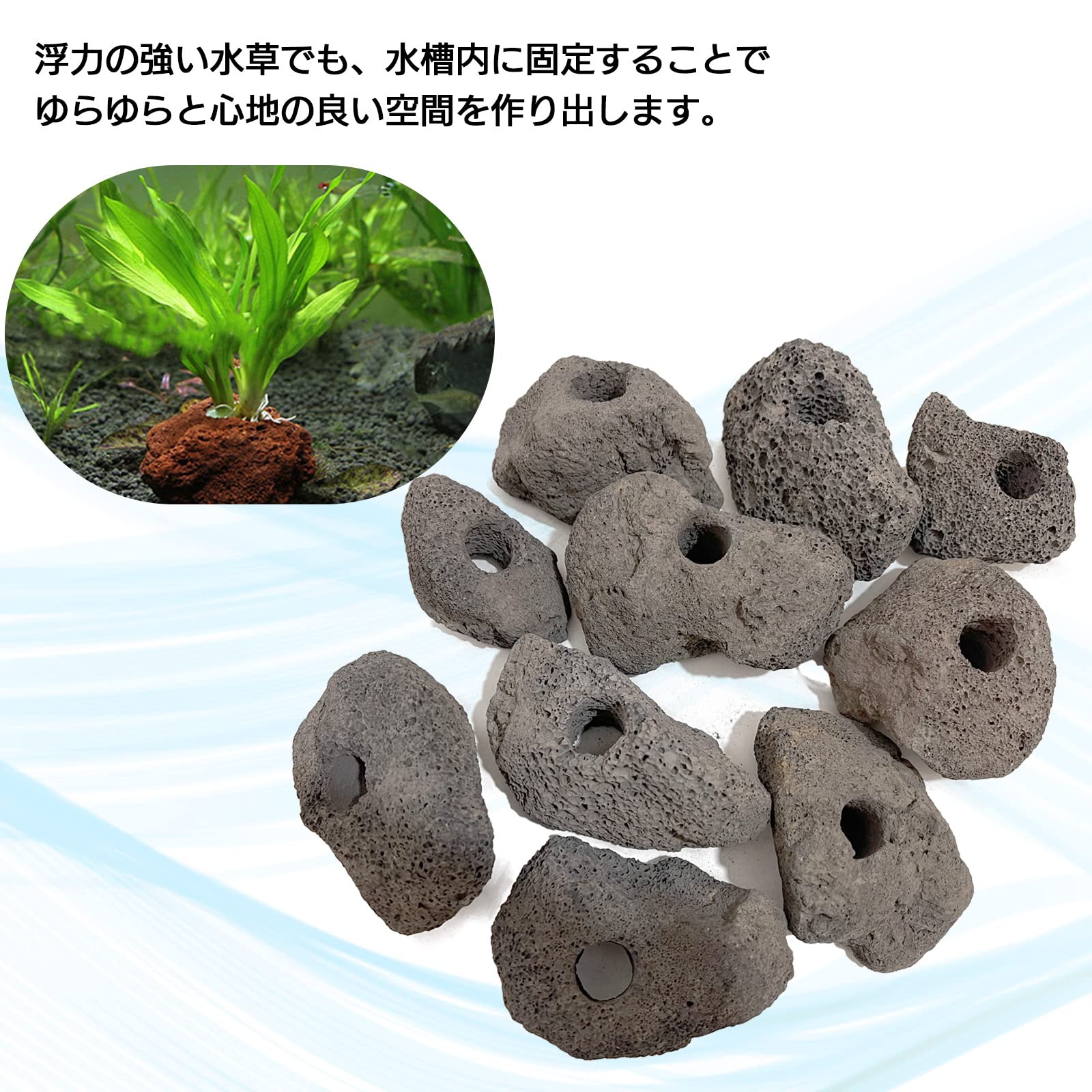 Amazon | モデルノ ラ テール 溶岩石 穴あき アクアリウム オブジェ